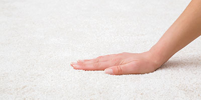 Professional carpet cleaning